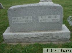Amy Alice Jones White