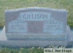 Nellie B Orr Gillison