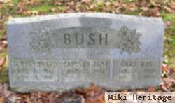 James Bush