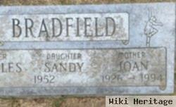 Joan N. Bradfield