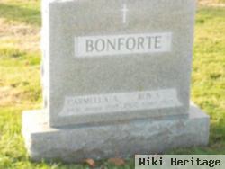 Roy S. Bonforte