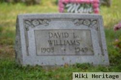 David Lewis Williams