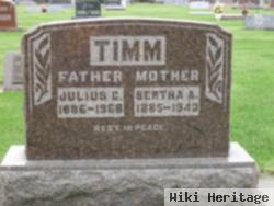 Julius C Timm