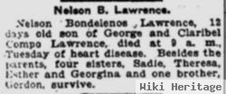 Nelson Bondelenos Lawrence