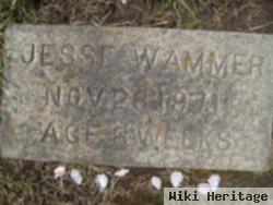 Jesse Wammer