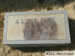 Alvin Strozier "buck" Hamby