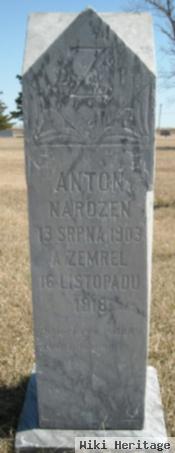 Anton Zak