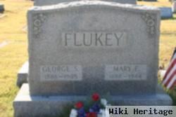 George S Flukey