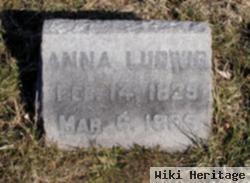 Anna Ludwig