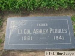 Ashley Brintnal Pebbles