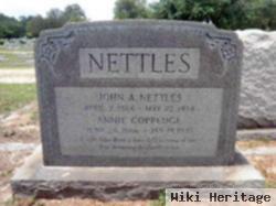 John A Nettles