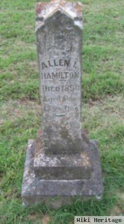 Allen L Hamilton