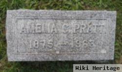 Amelia Catherine Folts Pratt