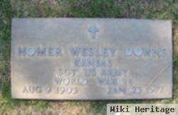 Homer Wesley Downs