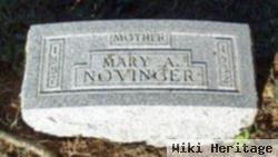 Mary Anna Motter Novinger