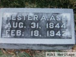 Hester Ann Wilson Ash