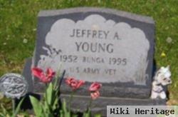 Jeffrey A Young