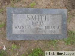 Wayne G Smith