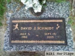 David J Schmidt