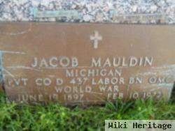 Jacob Mauldin