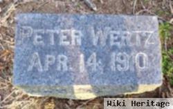 Peter Wertz