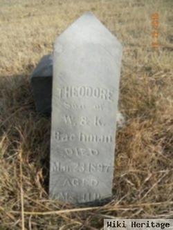 Theodore Bachman