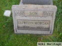 Llewelyn Morgan