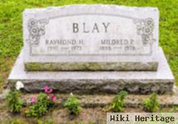 Raymond H Blay