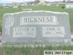 Emil George Bicknese