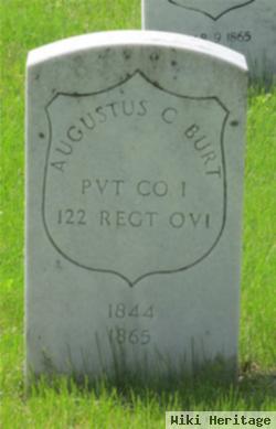 Augustus C Burt