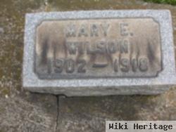 Mary Elizabeth Wilson