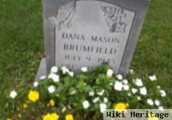 Dana R. Mason Brumfield