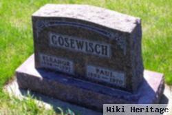 Paul W Gosewisch