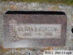 Olivia E "ollie" Forcum