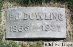 Patrick Joseph "p. J." Dowling