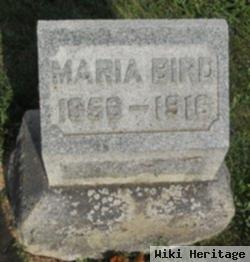 Maria Bird