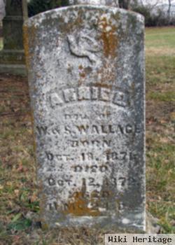 Annie E. Wallace