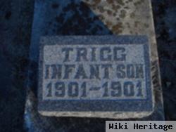 Infant Son Trigg