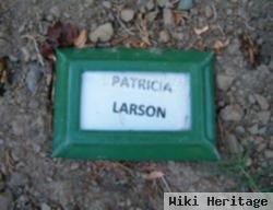 Patricia Ann Larson