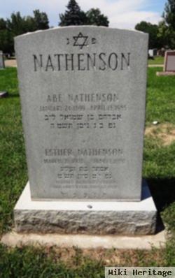 Abe Nathenson