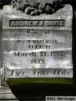 Andrew Jackson Davis Meek