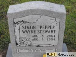 Simon Wayne Pepper Stewart