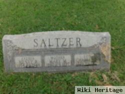 Charles M Saltzer