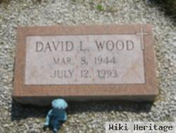 David L Wood