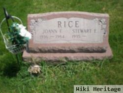 Stewart E. Rice