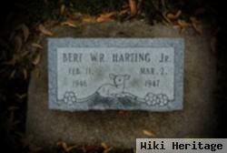 Bert W.r. Harting, Jr