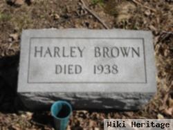 Harley Brown