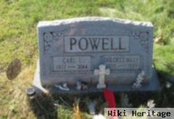 Dolores Ann "dolly" Brown Powell