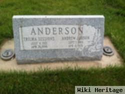 Andrew Judson Anderson