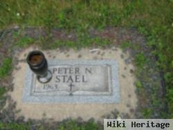 Peter N Stael